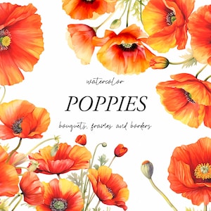 Clipart floral de papoula em aquarela - clipart de papoulas vermelhas png - flores vermelhas abstratas png - conjunto de buquês de papoula em aquarela - clipart digital PNG