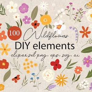 Colección de imágenes prediseñadas digitales de flores - Colección de imágenes prediseñadas de flores de bellezas en flor - Elementos de logotipo PNG para proyectos de bricolaje - Imágenes prediseñadas de flores silvestres