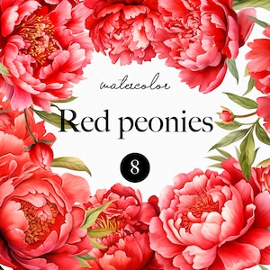 Aquarell Pfingstrose Blumen Clipart, Redl floral PNG Elemente und Strauß für Hochzeitseinladung, Grußkarten, Logo, Frühlingsstrauß 002