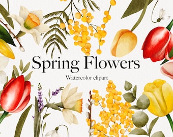 May include: Watercolour clipart featuring a variety of spring flowers, including yellow daffodils, red tulips, and yellow mimosa. The text "Spring Flowers" is written in black lettering.