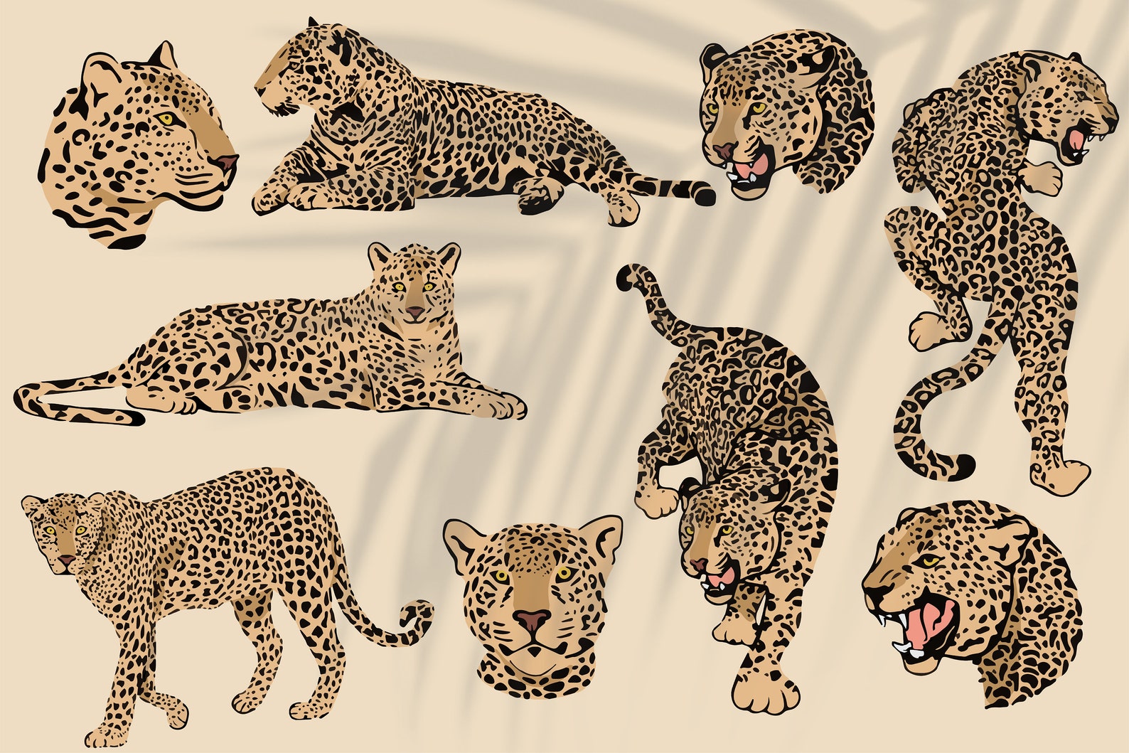 Leopard Digital Clipart, Individual Leopard Elements, Logo Elements ...