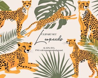 Leopard digital clipart, individual leopard elements, logo elements, leopard PNG + EPS Images