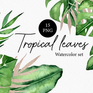 Aquarell Tropische Blätter Clipart - Handgezeichnete Grün Clipart Mit Dschungel Blätter PNG - Hochzeitseinladung - Monstera Blätter 004