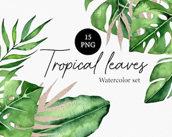 Watercolor  Tropical Leaves Clipart - Hand Drawn Greenery Clipart With Jungle Leaves PNG - Wedding invitation - Monstera Leaves 004