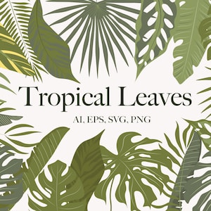 Éléments de feuilles de jungle - Clipart de verdure tropicale avec feuilles de jungle PNG - Faire-part de mariage - feuille de Monstera - feuilles de bananier - feuille de palmier