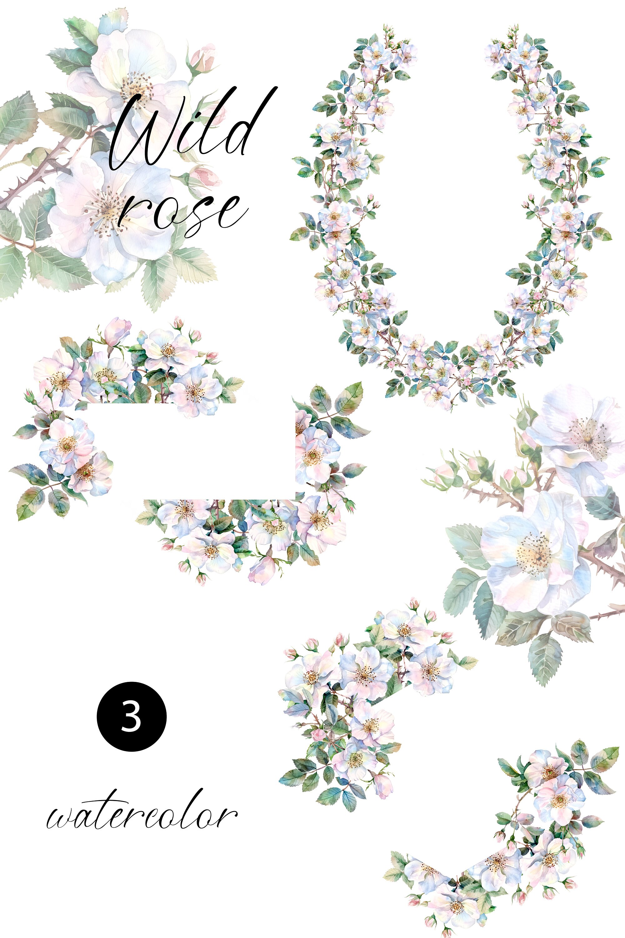 Watercolour Wild Roses Watercolor Wild Roses Clipart - Watercolor Floral Clipart - Wild Roses ...