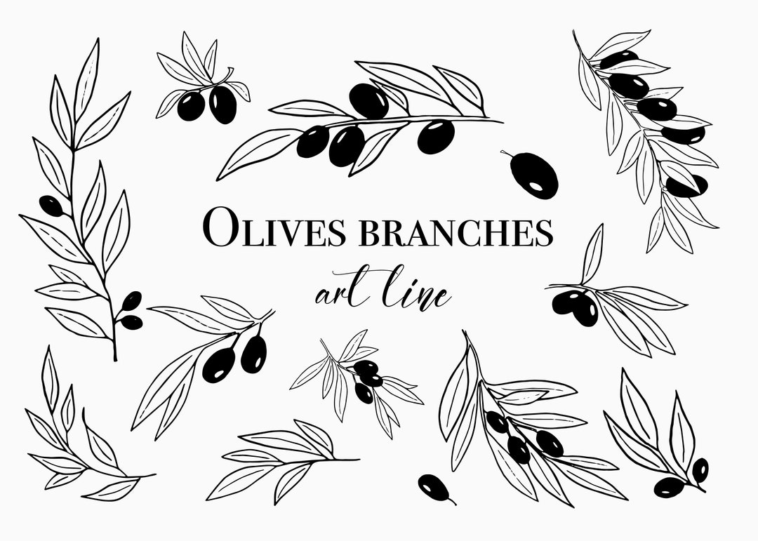 Olive Branch Set - Botanical Leaves Clipart - Illustrations Line Art ...