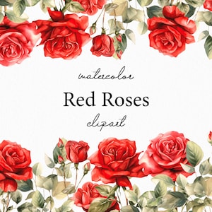 Aquarell rote Rosen Clipart - Aquarell Blumen Clipart - rote Rose Blumen Sträuße Clipart png - Rose set png Digitale Clipart PNG 014