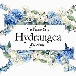 Cadres aquarelle d’hortensia, hortensia floral bleu Png, couronne d’hortensia, transparent, fleur, printemps, jardin, bordure d’hortensia 012