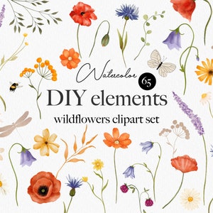 Flores silvestres clipart floral em aquarela, flores silvestres, clipart de casamento, primavera verão, prado, ilustrações de flores silvestres em aquarela 003