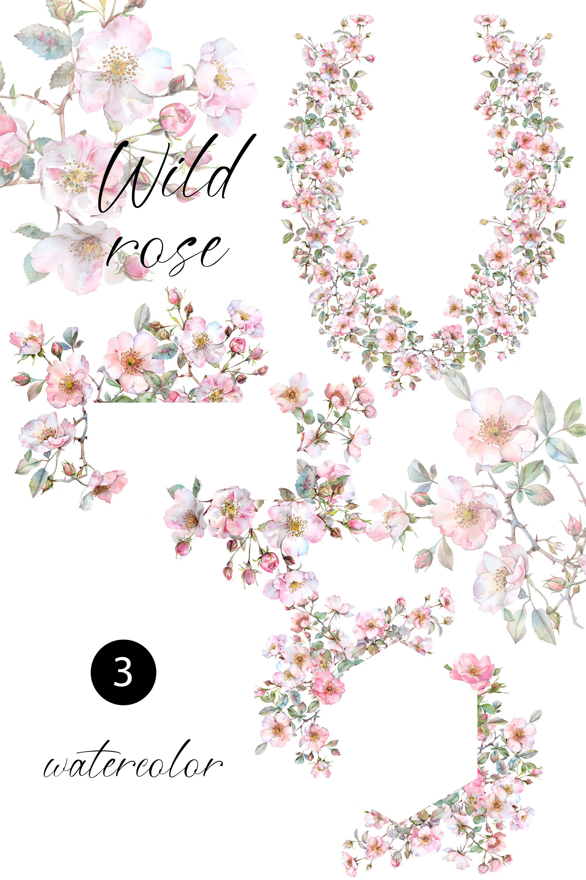 Watercolour Wild Roses Watercolor Wild Roses Clipart - Watercolor Floral Clipart - Wild Roses ...