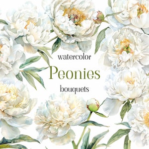 Aquarell Pfingstrosen Clipart-Set: Rahmen & Nahtloses Muster - Aquarell Blumen Clipart png - Digitales Blumendesign Bundle - Weiße Pfingstrosen