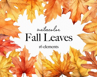 Fall Leaves Clip Art Watercolor Fall Clipart Floral Green Red Brown Bright Fall Leaves Thanksgiving Harvest Autumn Decor Graphics PNG