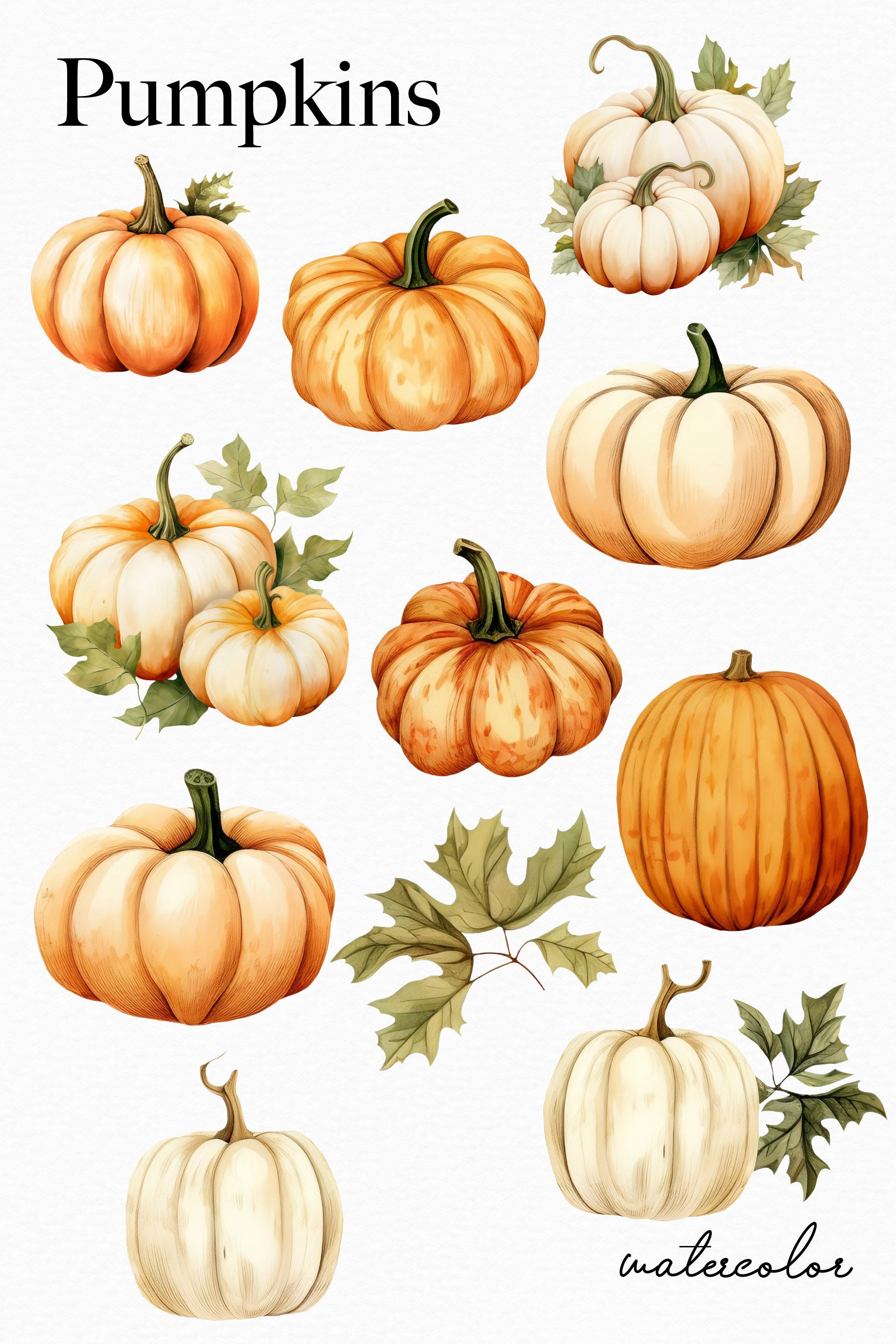 Watercolor Pumpkin Clipart - Autumn Pumpkin Png - Fall Pumpkin Png ...