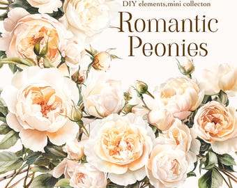 Watercolor Peonies Clipart Set: Frames & Peonies Bouquet - Watercolor Floral clipart png - Floral Digital Design Bundle - White Peonies