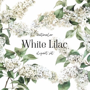 Watercolor White Lilac Clipart - Watercolor Lilac - Lilac Bouquets - Lilac Arrangements - White Lilac - Spring - Spring Flowers