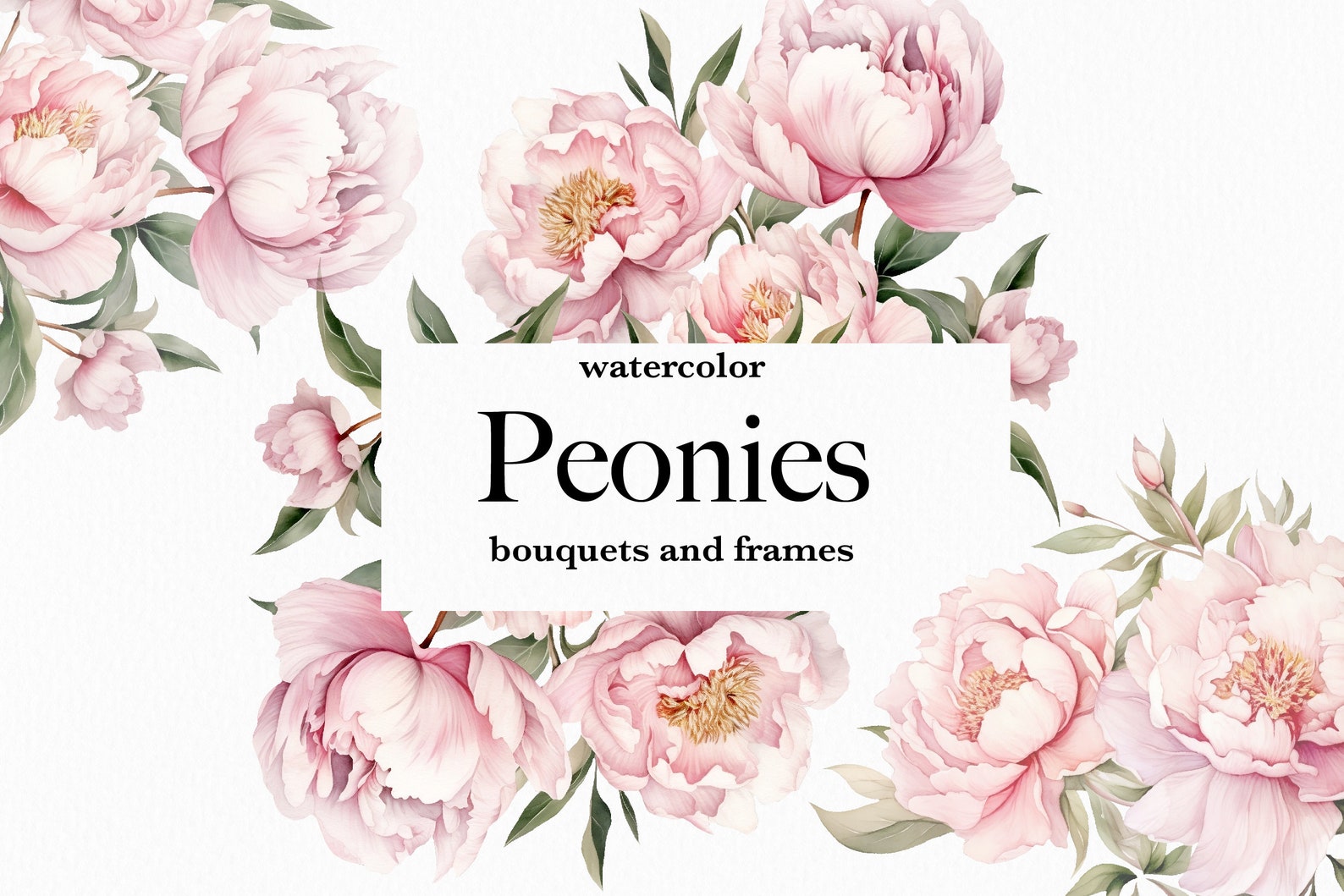Romantic Watercolor Blush Peonies Clipart and Frames - Elegant Designs ...