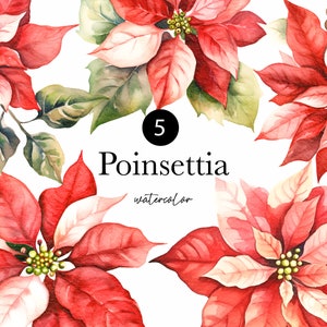 Clipart de aquarela de Natal: impressionantes flores de poinsétia para artesanato faça você mesmo