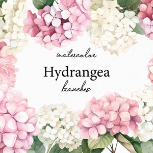 Hortensie Aquarell Clipart, rosa florale Hortensie Png, Hortensie Strauß, transparent, Blume, Frühling, Garten, kommerzielle Nutzung 012