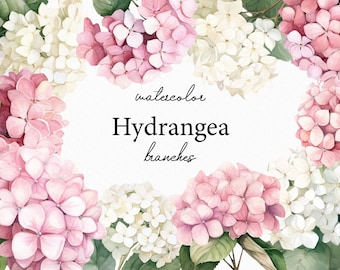 Hortensia aquarel clipart, roze bloemen hortensia PNG, hortensia boeket, transparant, bloem, lente, tuin, commercieel gebruik 012