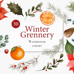 Clipart dell'acquerello invernale - Fiori di Natale - Clipart di pino - Poinsettia - Clipart di Natale - Clipart invernale - Fiori invernali - Bacche