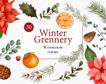 Winter Watercolor Clipart - Christmas Flowers - Pine Clipart- Poinsettia - Christmas Clipart - Winter Clipart - Winter Flowers - Berries