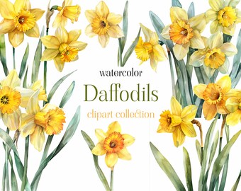 Daffodil Watercolor Clipart, Watercolor Floral Clipart, Daffodil Clipart, Spring Clipart, Daffodil Bouquets, Daffodil Wreath, Daffodil Frame
