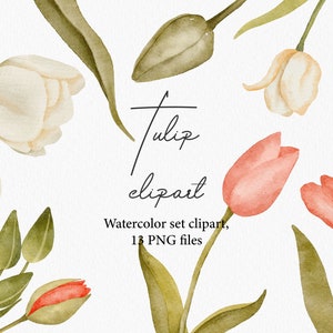 Watercolor Tulips Clipart, Tulips Clipart,  Spring Clipart, Spring Tulips, Floral Clipart, Wedding Clipart, Watercolor clipart