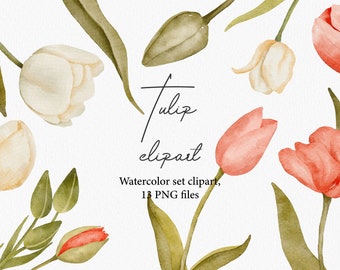 Clipart de tulipanes de acuarela, imágenes prediseñadas de tulipanes, imágenes prediseñadas de primavera, tulipanes de primavera, imágenes prediseñadas florales, imágenes prediseñadas de boda, imágenes prediseñadas de acuarela