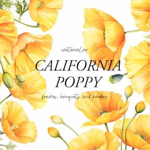 Aquarell Mohn Blumen Clipart - Rote Mohnblumen Clipart PNG - Abstrakte rote Blumen PNG - Aquarell Mohnblumensträuße Set - Digitale Clipart PNG