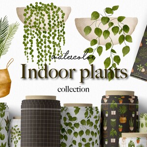 Plantas de interior de acuarela - Descarga de jardinería - Descarga PNG - Monstera Palm Aloe - Planta de interior de acuarela - Vegetación de plantas boho 11