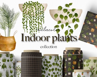 Watercolor Indoor Plants - Gardening Download - PNG Download - Monstera Palm Aloe - Watercolor Houseplant- Boho Plant greenery 11