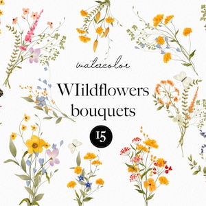 Watercolor wildflower floral clipart- Watercolor garden bouquets clipart- Field summer floral wildflower illustrations-Soft flowers PNG