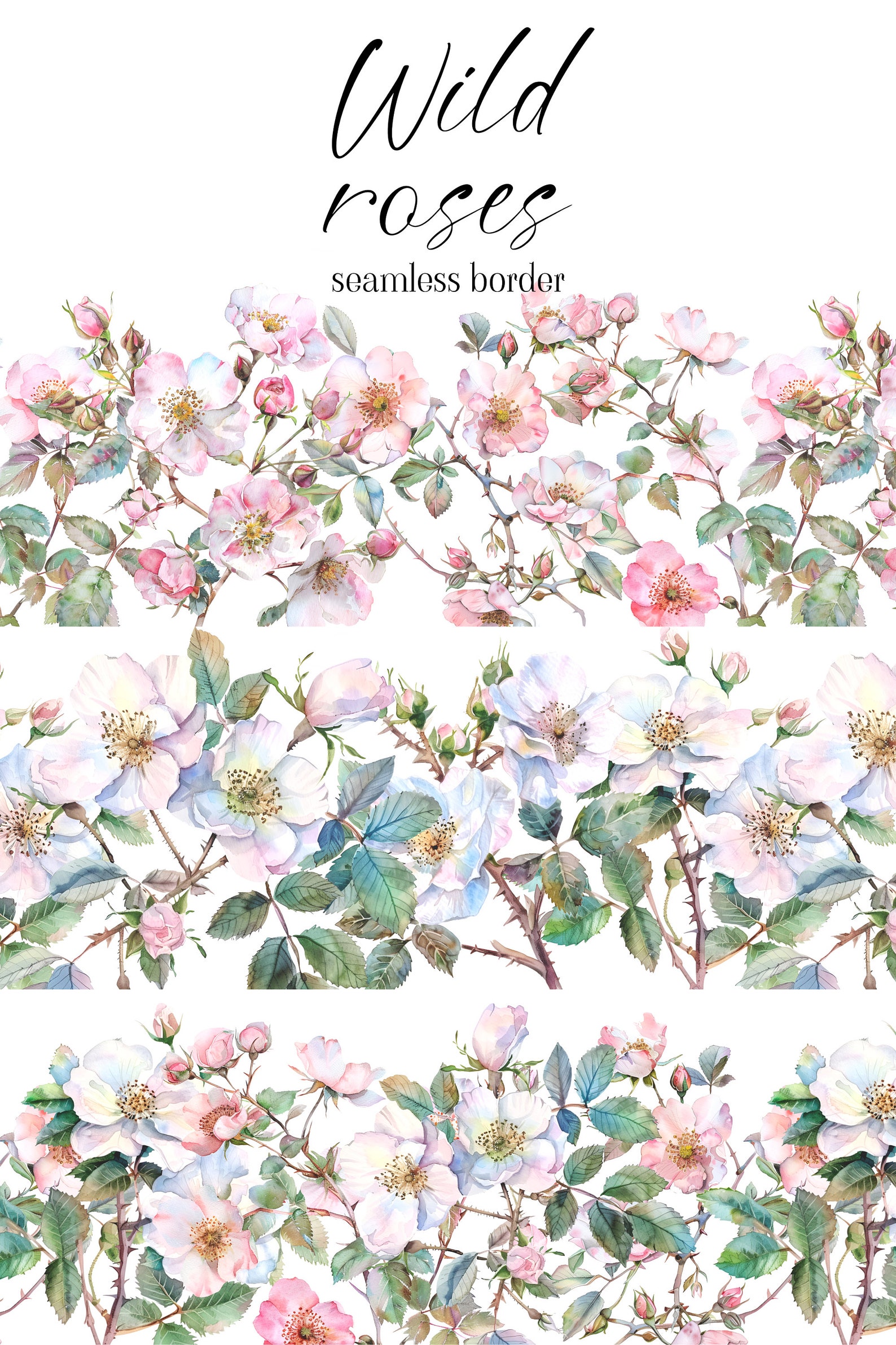 Watercolour Wild Roses Watercolor Wild Roses Clipart - Watercolor Floral Clipart - Wild Roses ...