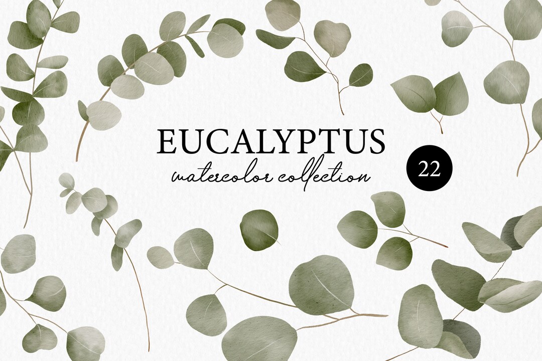 Eucalyptus Watercolor Set - Greenery Clipart - Foliage Set - Green ...