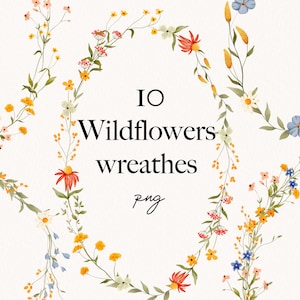 Watercolor wildflower floral clipart- Watercolor garden wreath clipart- Spring field summer floral wildflower illustrations-Soft flowers PNG