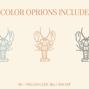 May include: Three line drawings of lobsters in different colors: blue, orange, and black. The text "3 COLOR OPRIONS INCLUDED" is at the top of the image. The text "80+ PNG,SVG,EPS files / 300 DPI" is at the bottom of the image.