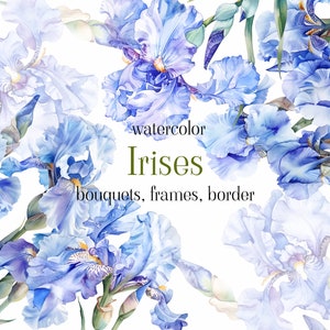 May include: Watercolor painting of blue iris flowers with green stems and leaves. The text "watercolor Irises bouquets, frames, border" is written in green below the flowers.
