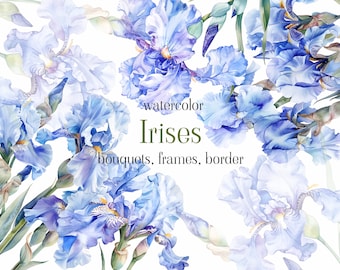 Clipart Iris dell'acquerello - Fiori blu dell'acquerello - Bouquet di Iris - Composizioni di Iris - Bouquet floreali - Clipart digitale PNG