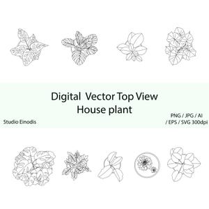 May include: Black and white digital vector illustrations of various house plants, viewed from above. The image includes text that reads "Digital Vector Top View House plant" and "Studio Einodis". Formats include PNG, JPG, AI, EPS, and SVG.