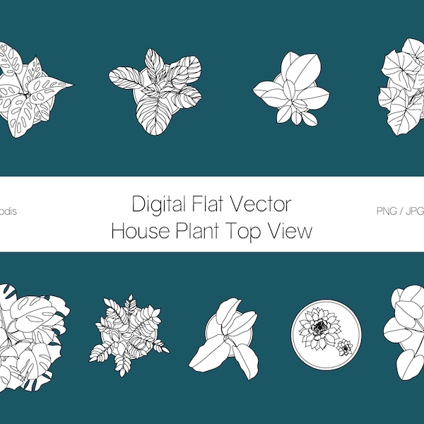 Flat vector house plants top view -  Digital files of 9 plants. EPS, AI, SVG, Png, Jpeg
