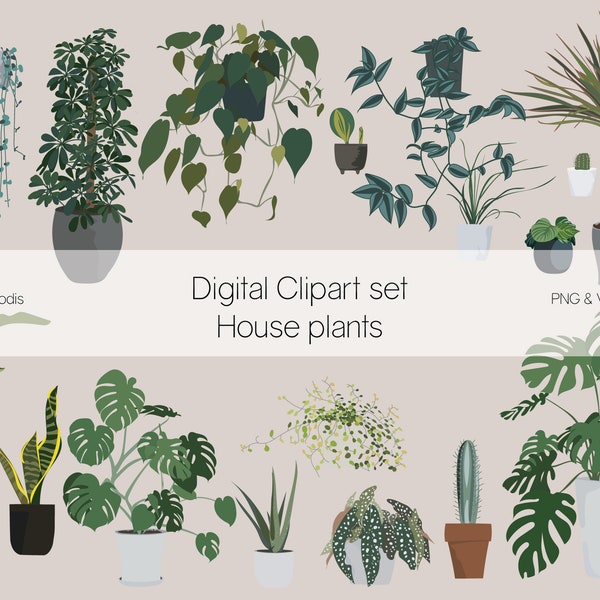 House Plants Vector Clipart - PNG Vector Download - Monstera, Pothos, Cactus, Bird of paradise, Umbrella plant - Plant Print - Stickers