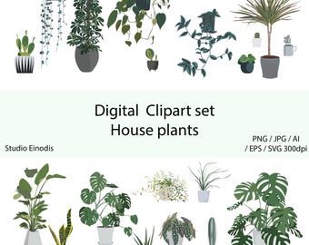 Krukväxter Vektor Clipart – Pothos, Monstera, Kaktus (PNG-nedladdning)