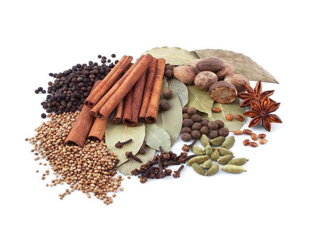 Garam Masala Spice Powder Ships From Ottawa Etsy