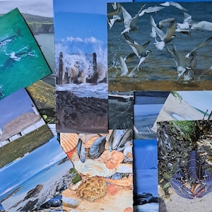 Coastal Ephemera Paper Pack: Vintage Seaside Scrapbooking, Journal Collage Art (25 Pieces)