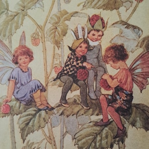 May include: A vintage illustration depicting four children in fairy or elf costumes, seated on a leafy branch. The children are adorned with wings and berry-themed headwear. The artwork uses a soft colour palette, with red berries scattered throughout.
