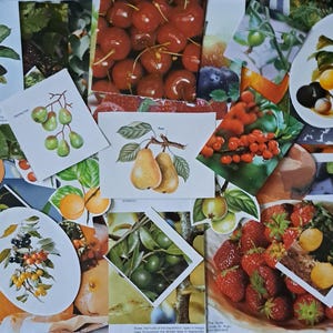 Fruit & Berries Ephemera Paper Pack: 40 Junk Journal Fussy Cuts