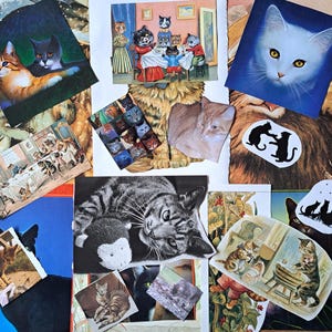 May include: A collection of various cat-themed paper ephemera, including multiple printed illustrations of cats in domestic settings, a black and white cat sticker, a white cat portrait, and several small photographic cutouts of cats.