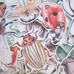 May include: A selection of watercolour insect stickers, including a ladybird, beetle, and dragonfly. The stickers feature detailed illustrations in shades of red, brown, and green, with white outlines. Ideal for scrapbooking or crafting projects.