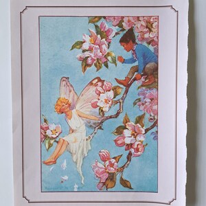 May include: A vintage-style illustration print featuring a fairy with blonde hair and translucent wings wearing a white dress, sitting on a flowering branch. Above, a figure in a blue shirt and brown trousers sits on the same branch amidst pink blossoms.